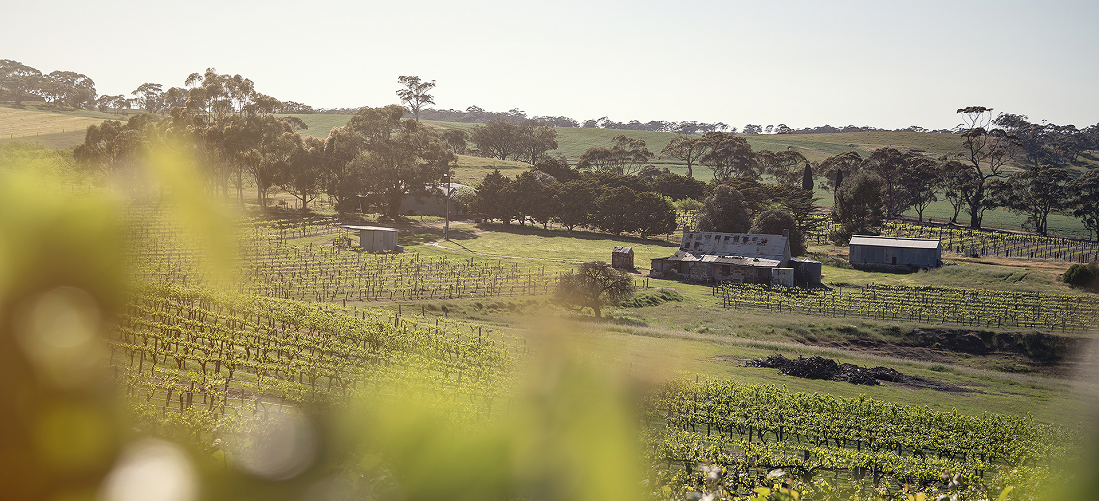 Tarrawatta winery